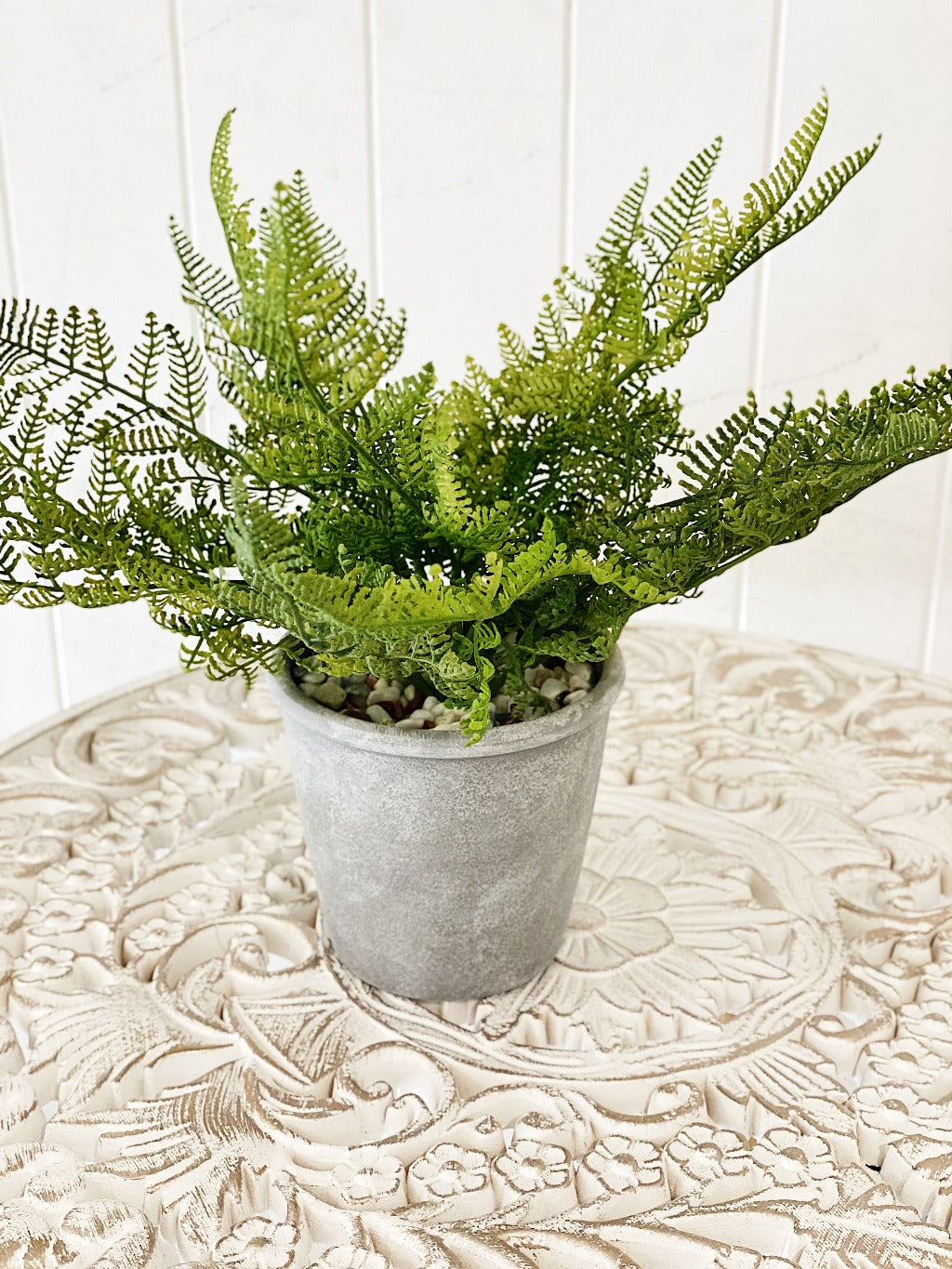 Liven up your indoor spaces with our Artificial Fern in Cement Pot. With its cement pot, it will add texture and colour to any room. Great for adding a splash of colour to a bathroom or windowsill.| Bliss Gifts & Homewares | Unit 8, 259 Princes Hwy Ulladulla | South Coast NSW | Online Retail Gift & Homeware Shopping | 0427795959, 44541523