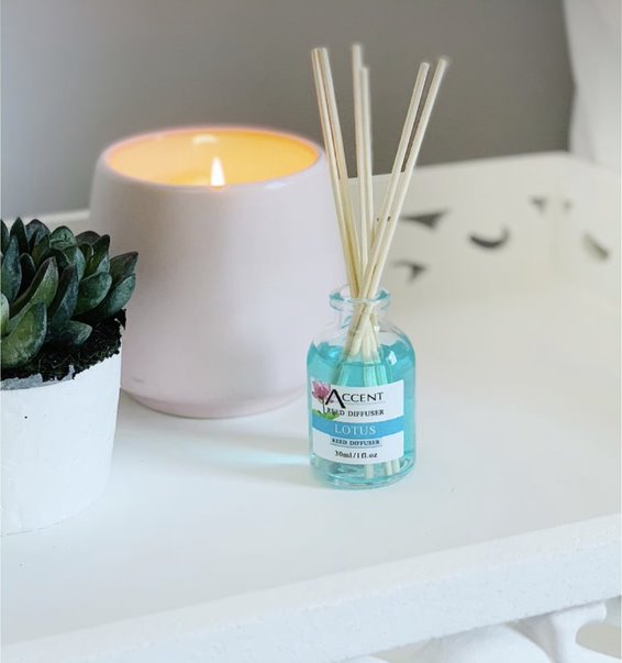 Scent your space and serenade your senses with our Mini Aromatic Reed Diffusers 30ml available in 6 different scents. Fresh fragrances that don't just smell amazing, but are beautifully-balanced to make an inviting impression without being overpowering.| Bliss Gifts & Homewares | Unit 8, 259 Princes Hwy Ulladulla | South Coast NSW | Online Retail Gift & Homeware Shopping | 0427795959, 44541523