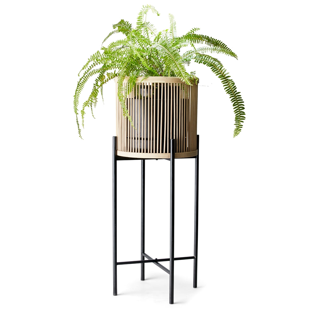 Rhythm Plant Stands - metal base - stunning natural bamboo basket - Large: 35x100cm - Small: 35x80cm - Basket size: 31x31cm | Salt&Pepper |Bliss Gifts & Homewares - Unit 8, 259 Princes Hwy Ulladulla - Shop Online & In store - 0427795959, 44541523 - Australia wide shipping 