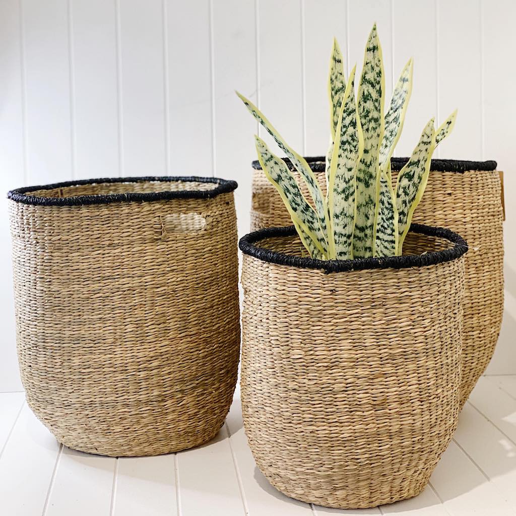 Storage & Baskets – Decorative storage Baskets | Bliss Gifts & Homewares - Unit 8, 259 Princes Hwy Ulladulla - Shop Online & In store - 0427795959, 44541523 - Australia wide shipping 