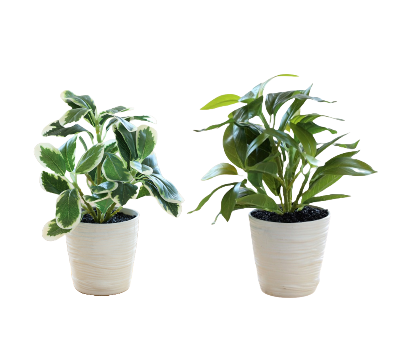 Artificial Plants & Flowers