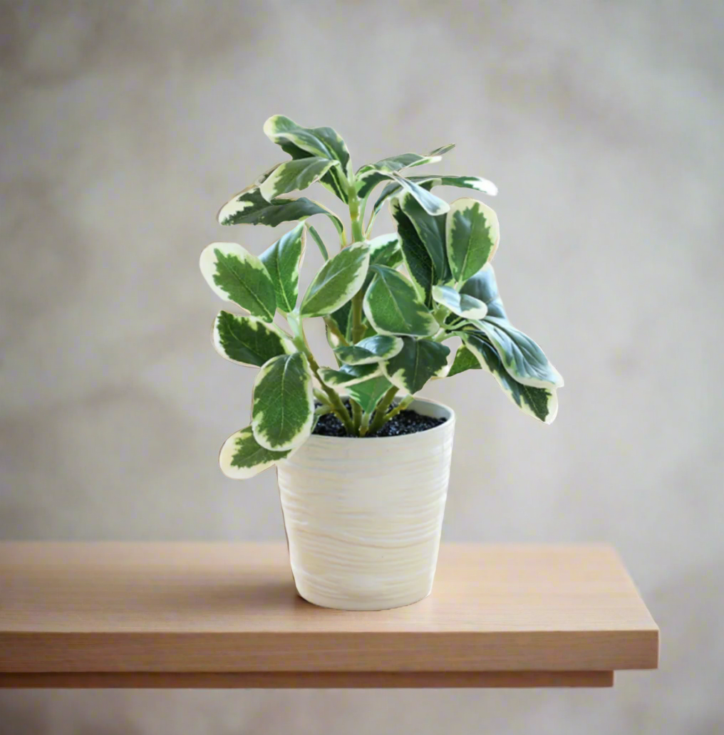 Artificial Plants & Flowers