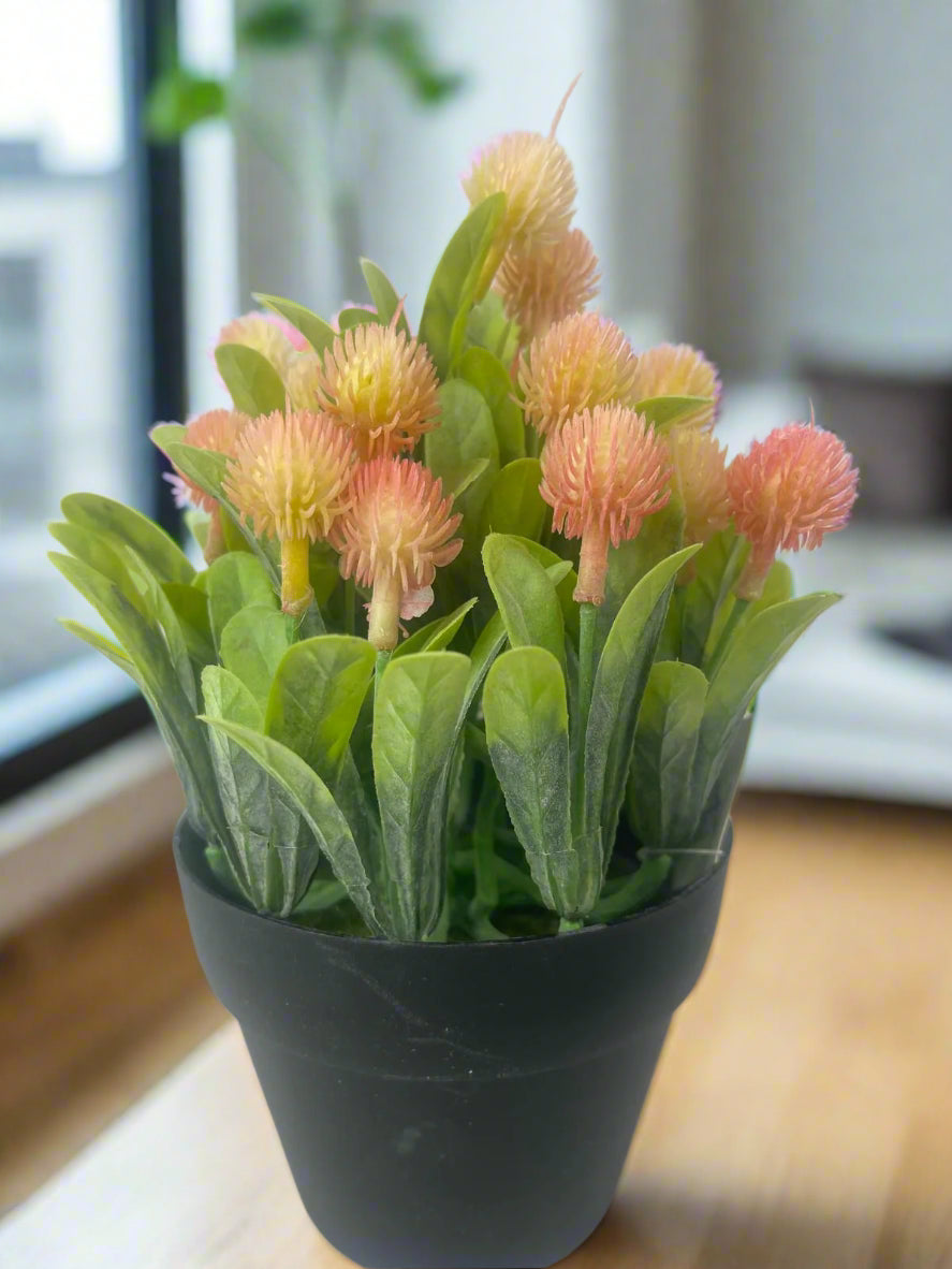 Soft Blush Artificial Proteas for Sale