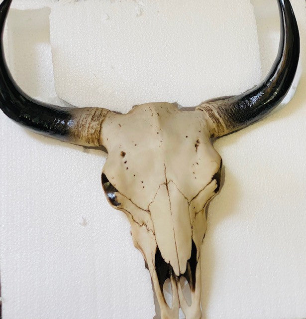 Large Bison Skull Wall Head - BLISS Gifts & Homewares