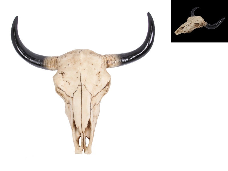 Large Bison Skull Wall Head - BLISS Gifts & Homewares