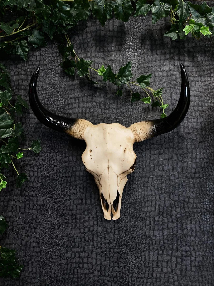 Large Bison Skull Wall Head - BLISS Gifts & Homewares