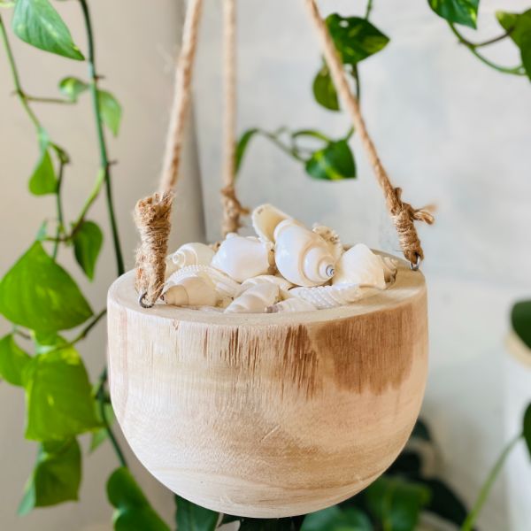 Clay Hanging Pot