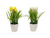 Artificial Flowers in Ceramic Pots