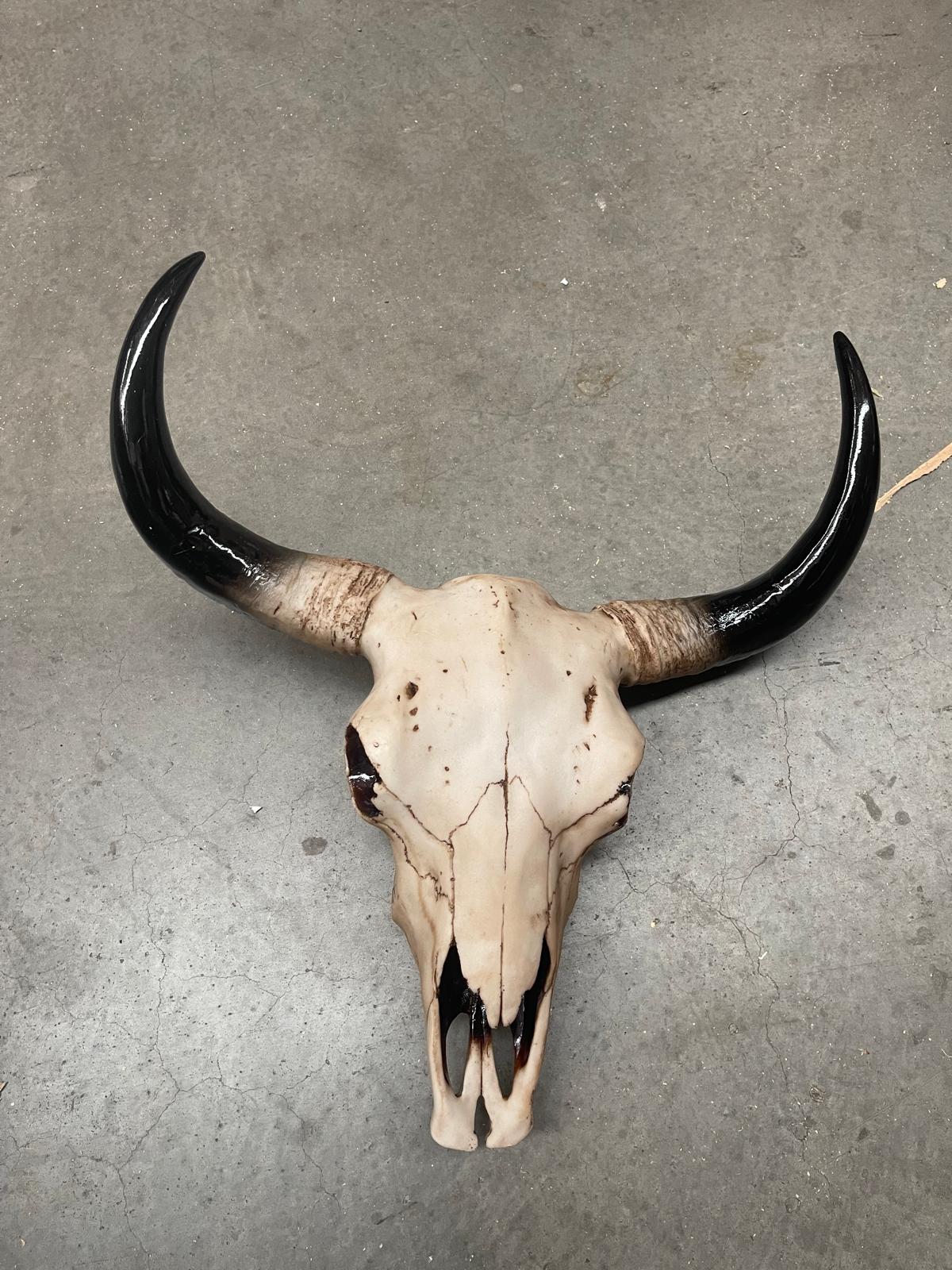 Large Bison Skull Wall Head - BLISS Gifts & Homewares