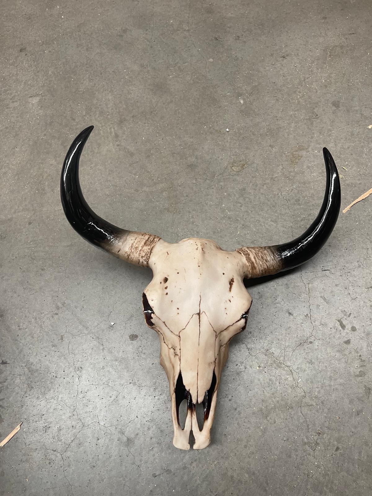 Large Bison Skull Wall Head - BLISS Gifts & Homewares