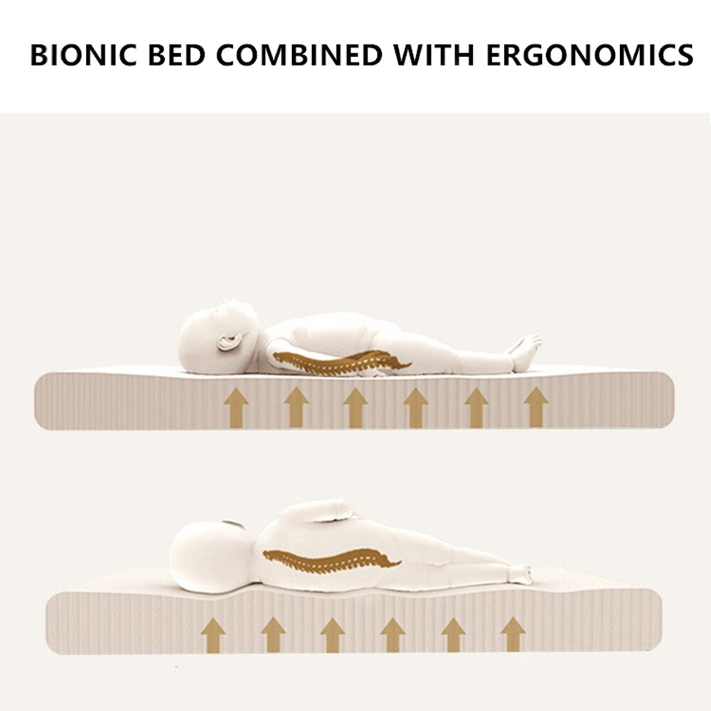 100% Cotton Baby Nest | Infant Lounger