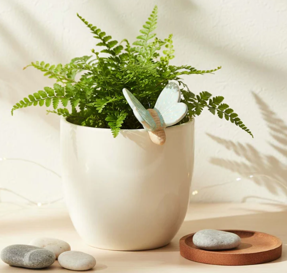 Butterfly Hanging Planter Sitter