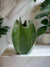 Green Cactus Ceramic Vase | Decorative Home Decor Australia