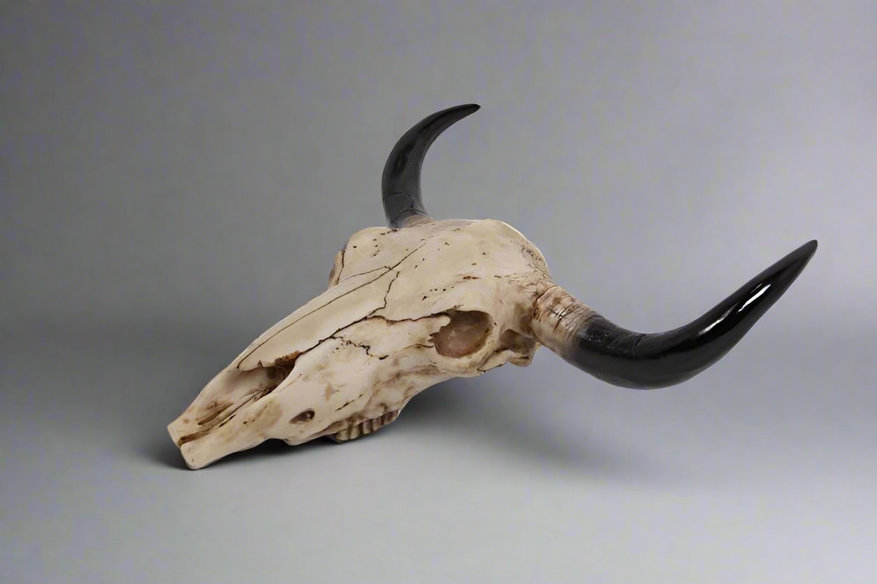 Cow Skull Wall Hanger