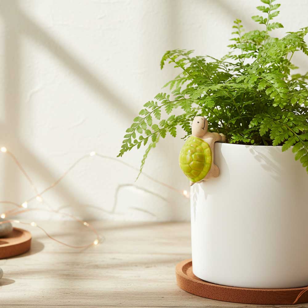 Turtle Pot Planter Sitter