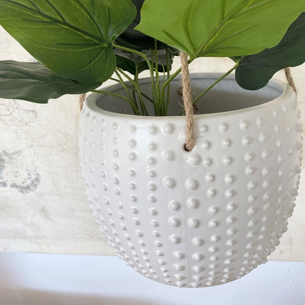 Decorative Hanging Planter