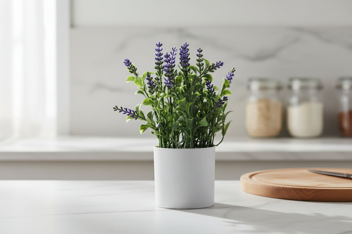 Green Lavender Plant in Ceramic Pot

