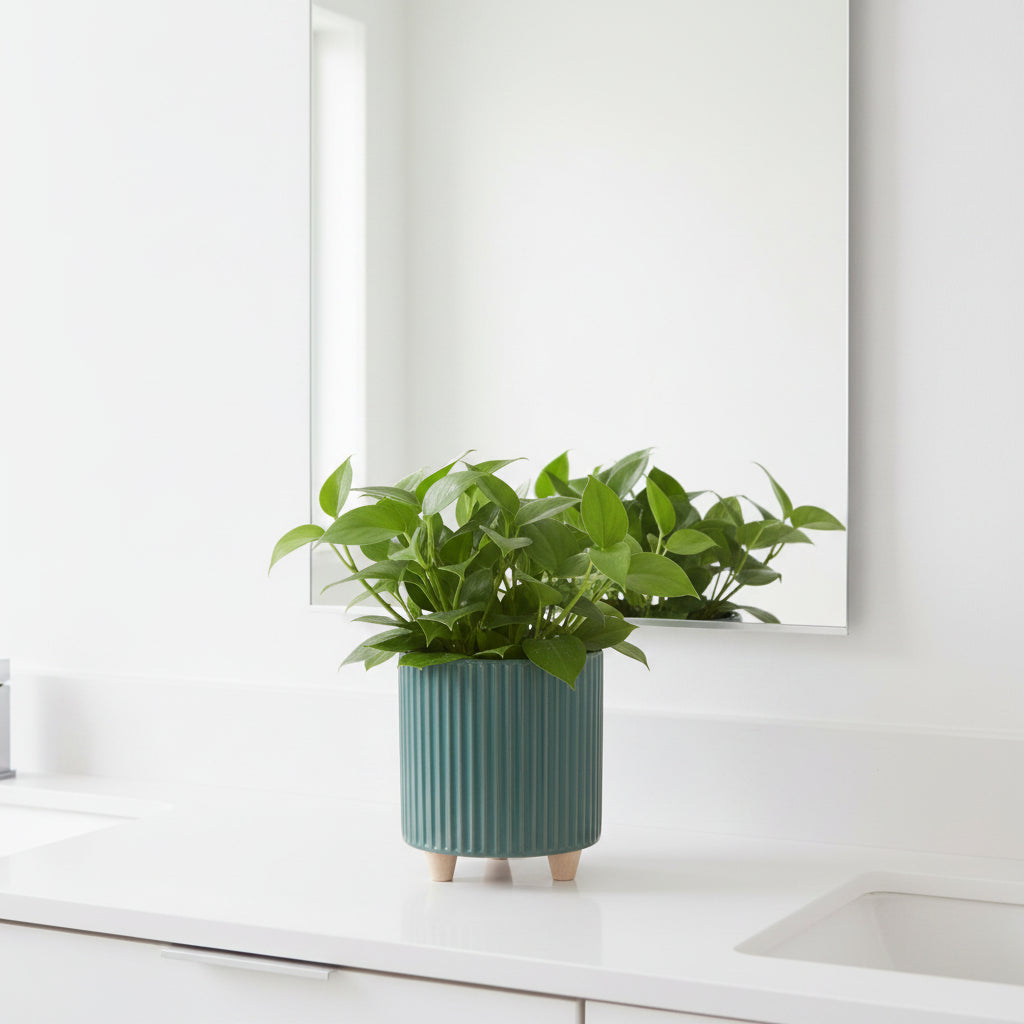 Fraser Ceramic Pot with Feet
