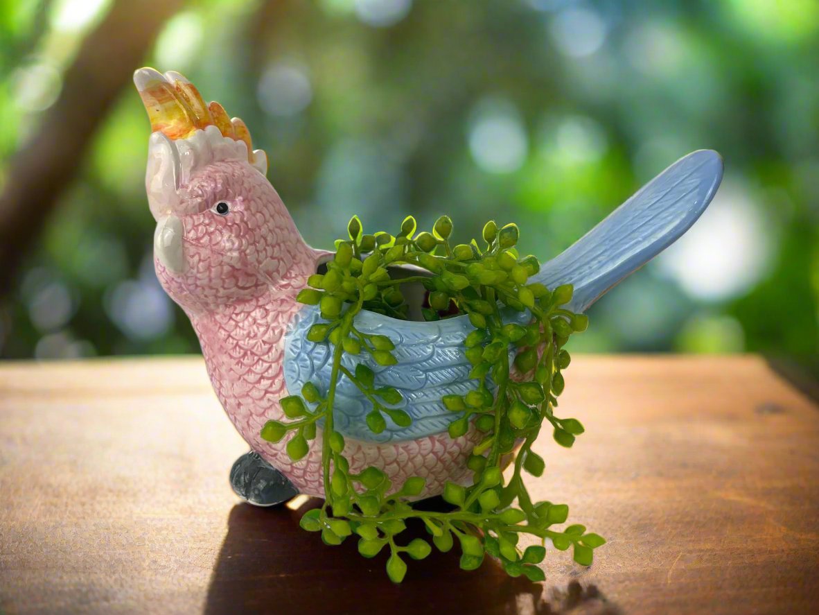 Cockatoo Ceramic Pot | Unique Planter Australia