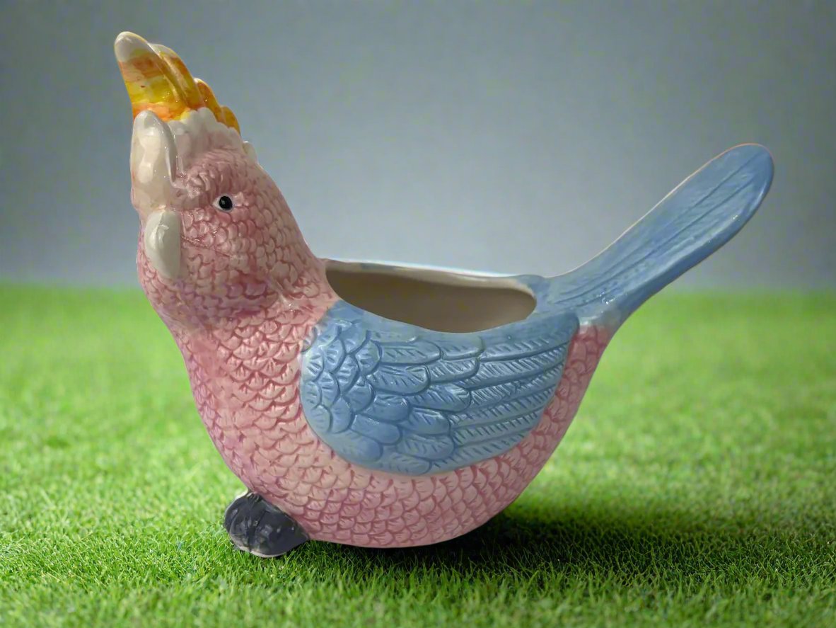 Cockatoo Ceramic Pot | Unique Planter Australia
