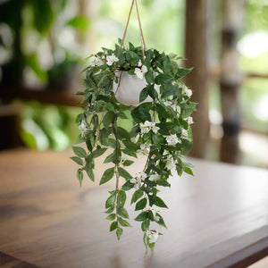 hanging white flower plant Hanging White Flower Plant-70cm