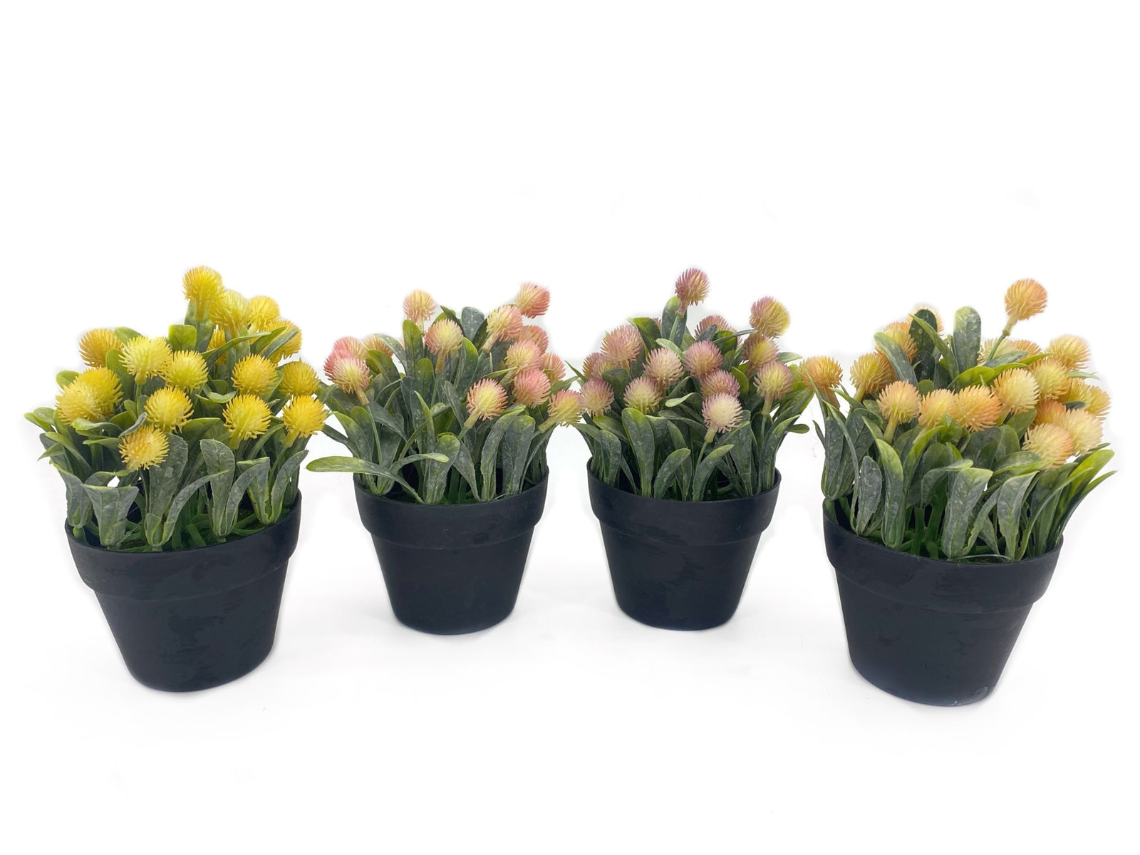 Buy Artificial Protea in a Pot - 20cm Online