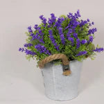 Potted Flowers with Rope Handle