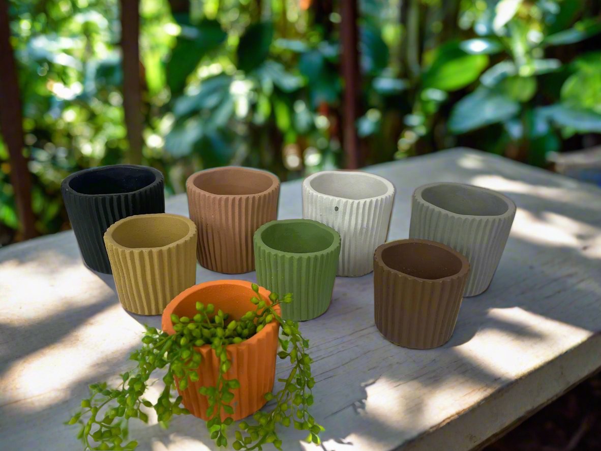 Decorative Cement Pots | Indoor &amp; Outdoor
