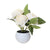 Artificial White Peony in Pot