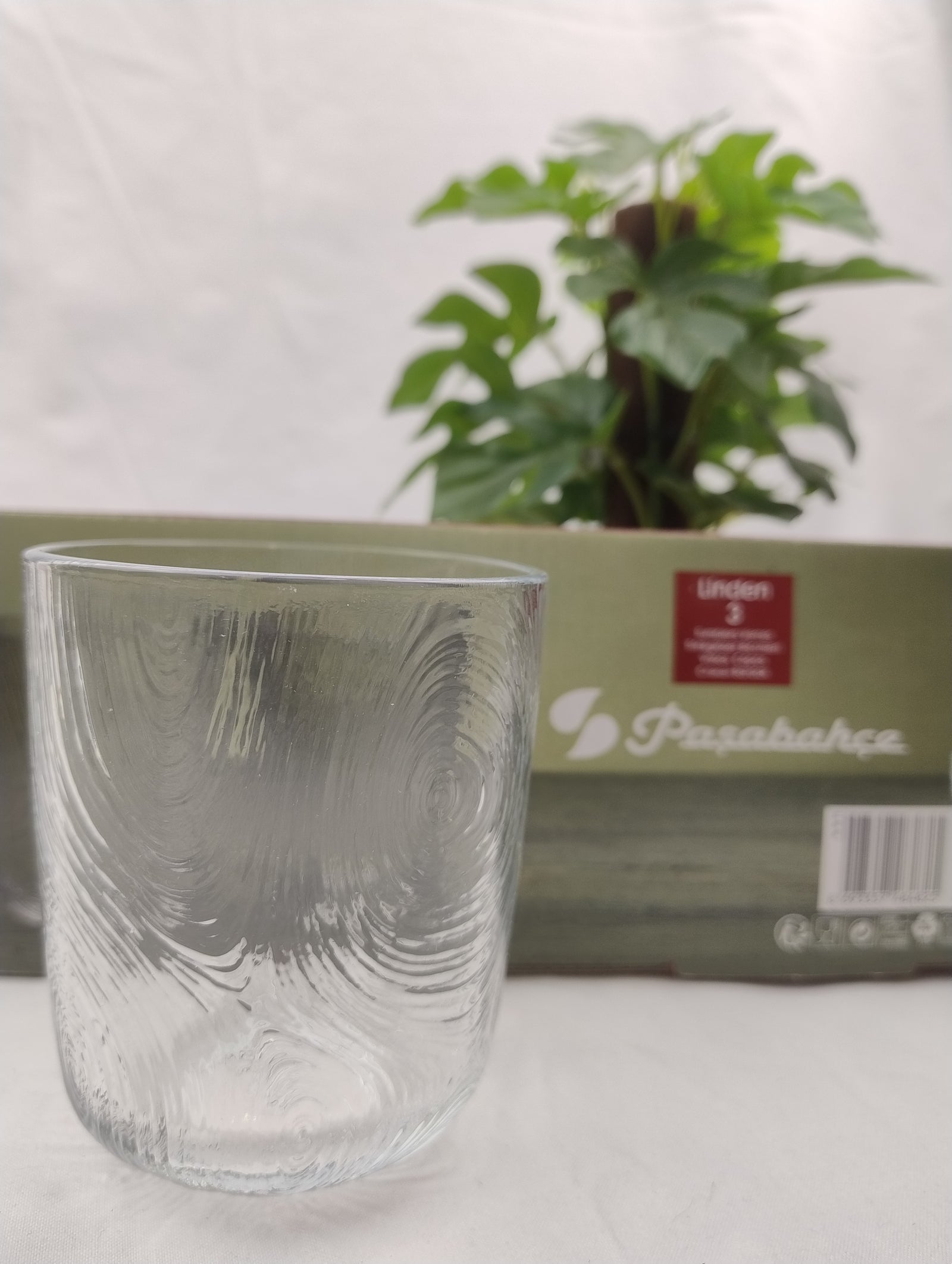 Glass with a plant 