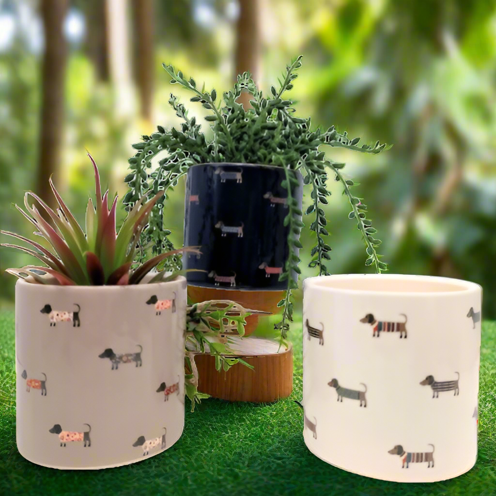 Small Dachshund Dog Planter Pot