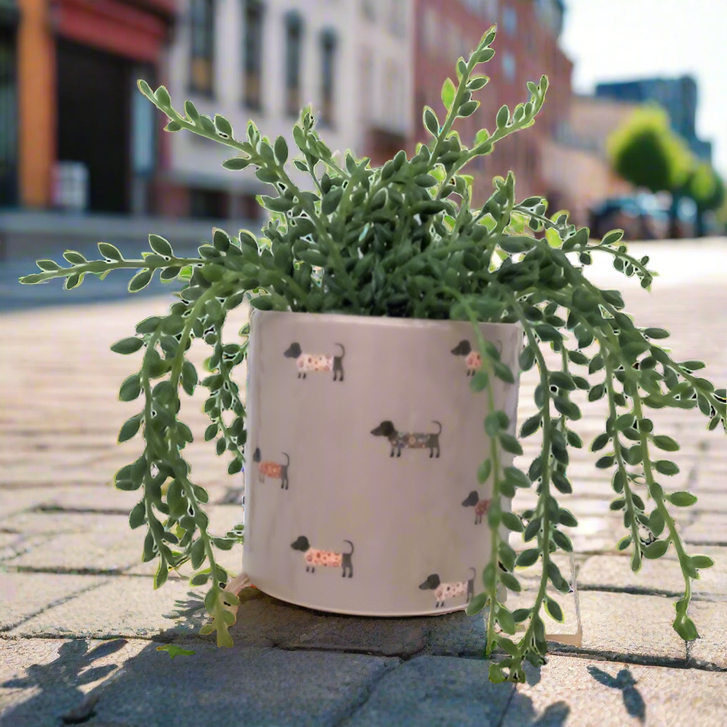 Medium Dachshund Dog Planter Pot