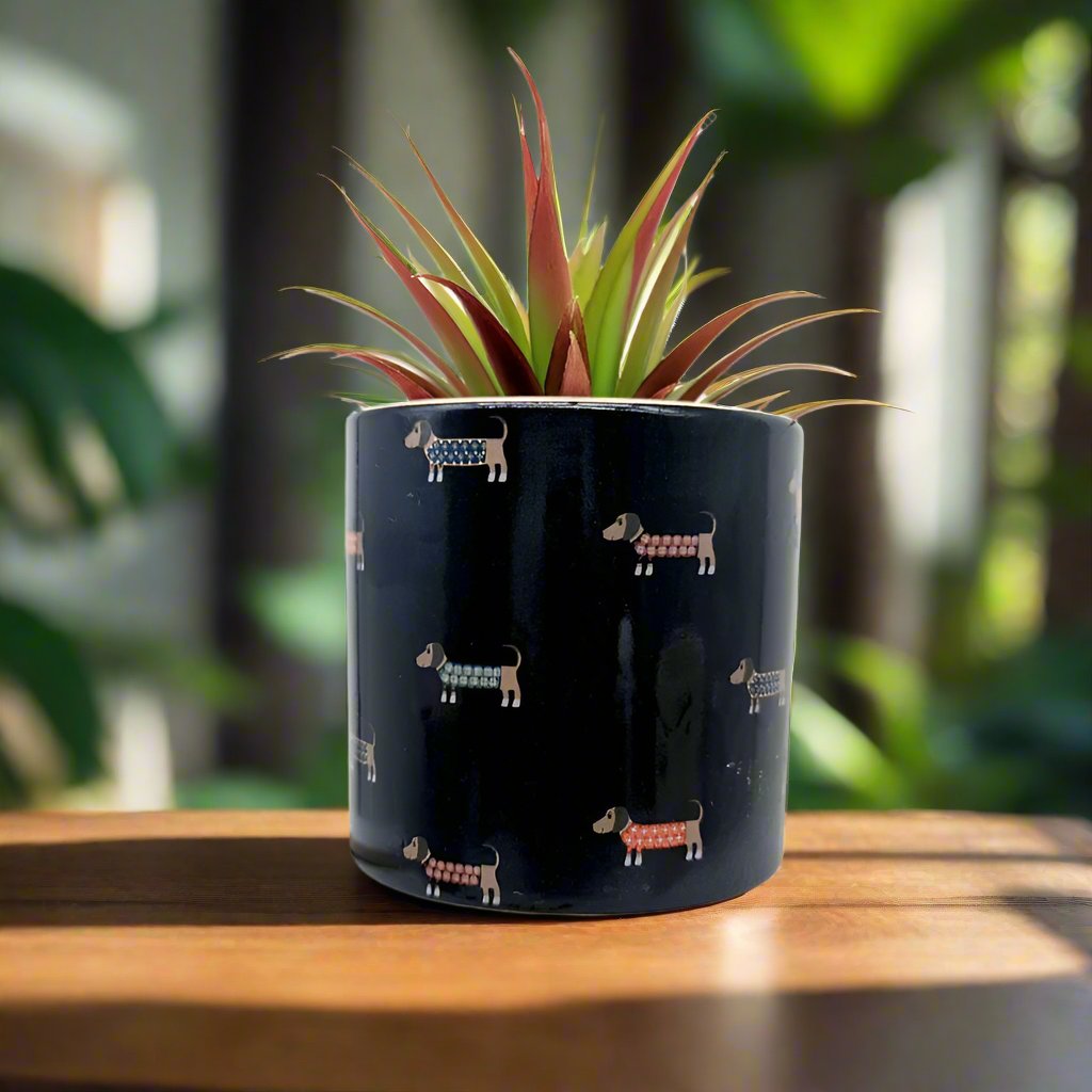 Dachshund Ceramic Planter | Medium Dog Pot