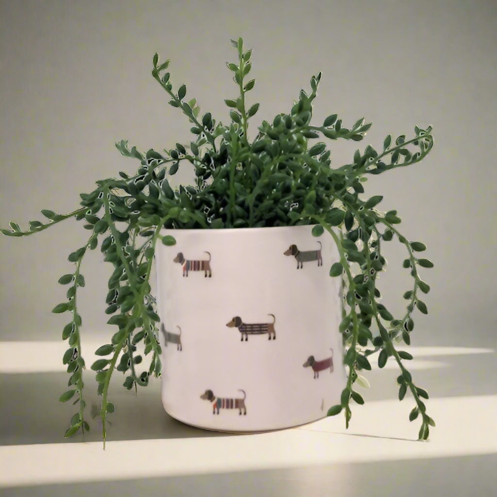 Small Dachshund Dog Planter Pot