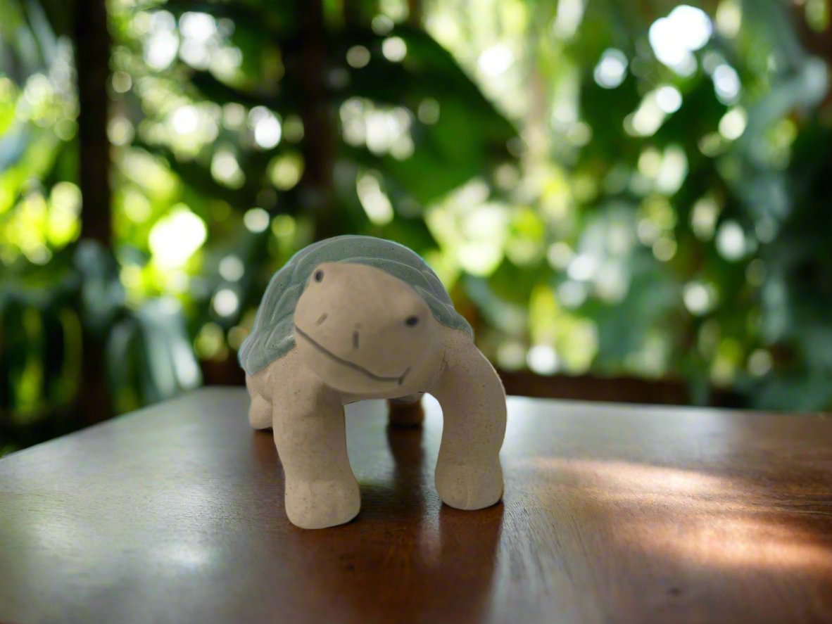 Turtle Pot Planter Sitter