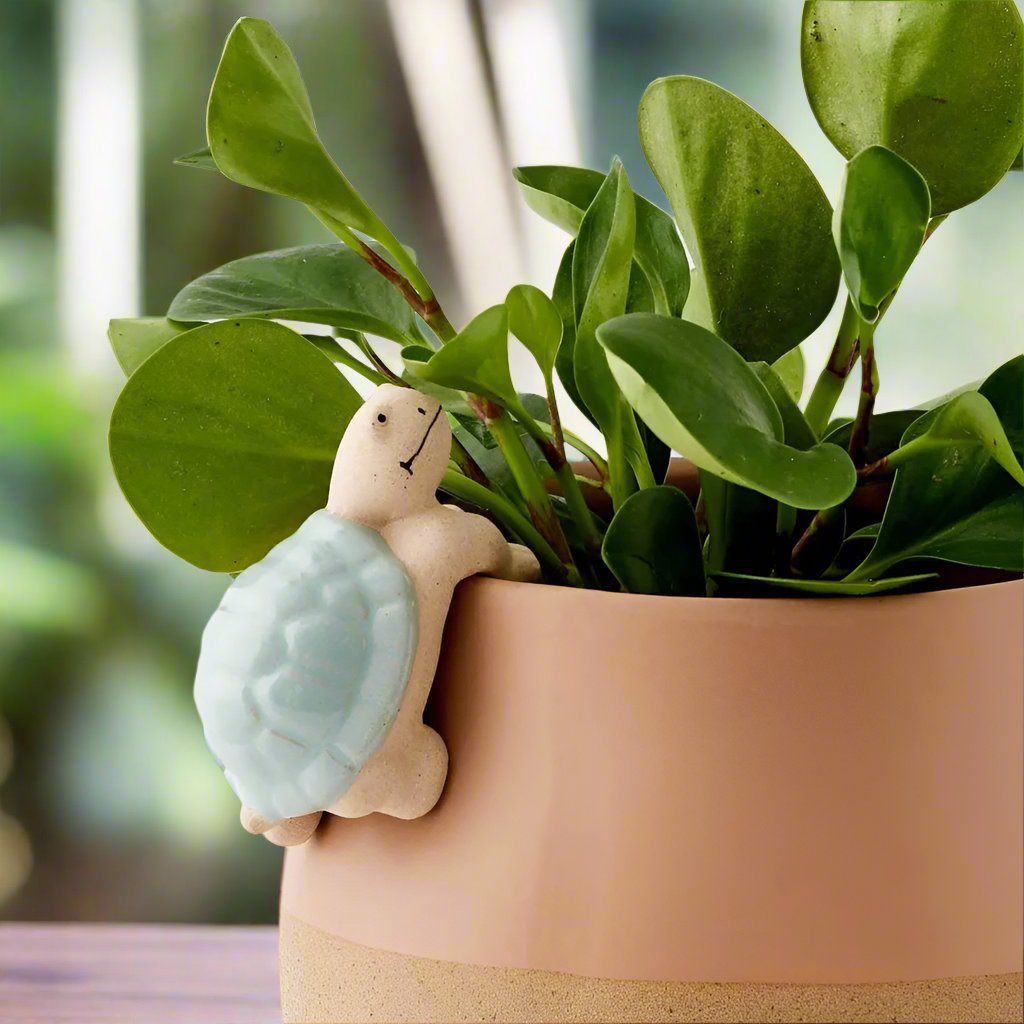 Turtle Pot Planter Sitter | Garden Decor Australia
