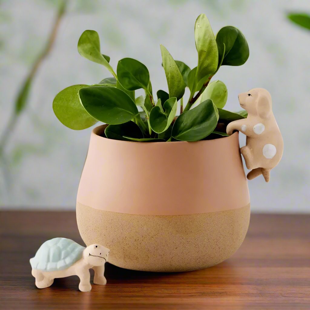 Turtle Pot Planter Sitter