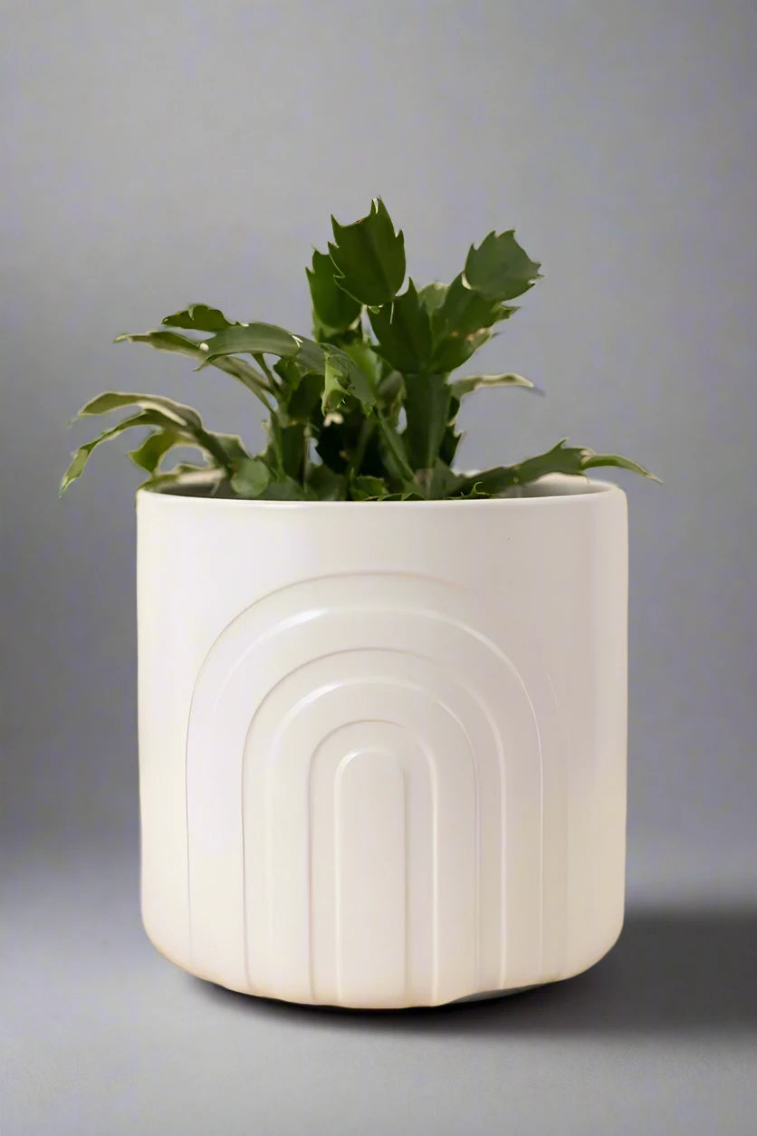 Medium Boho Vase | Rustic Flower Vase