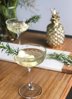 Winston Coupe Set | 4 Elegant Glassware