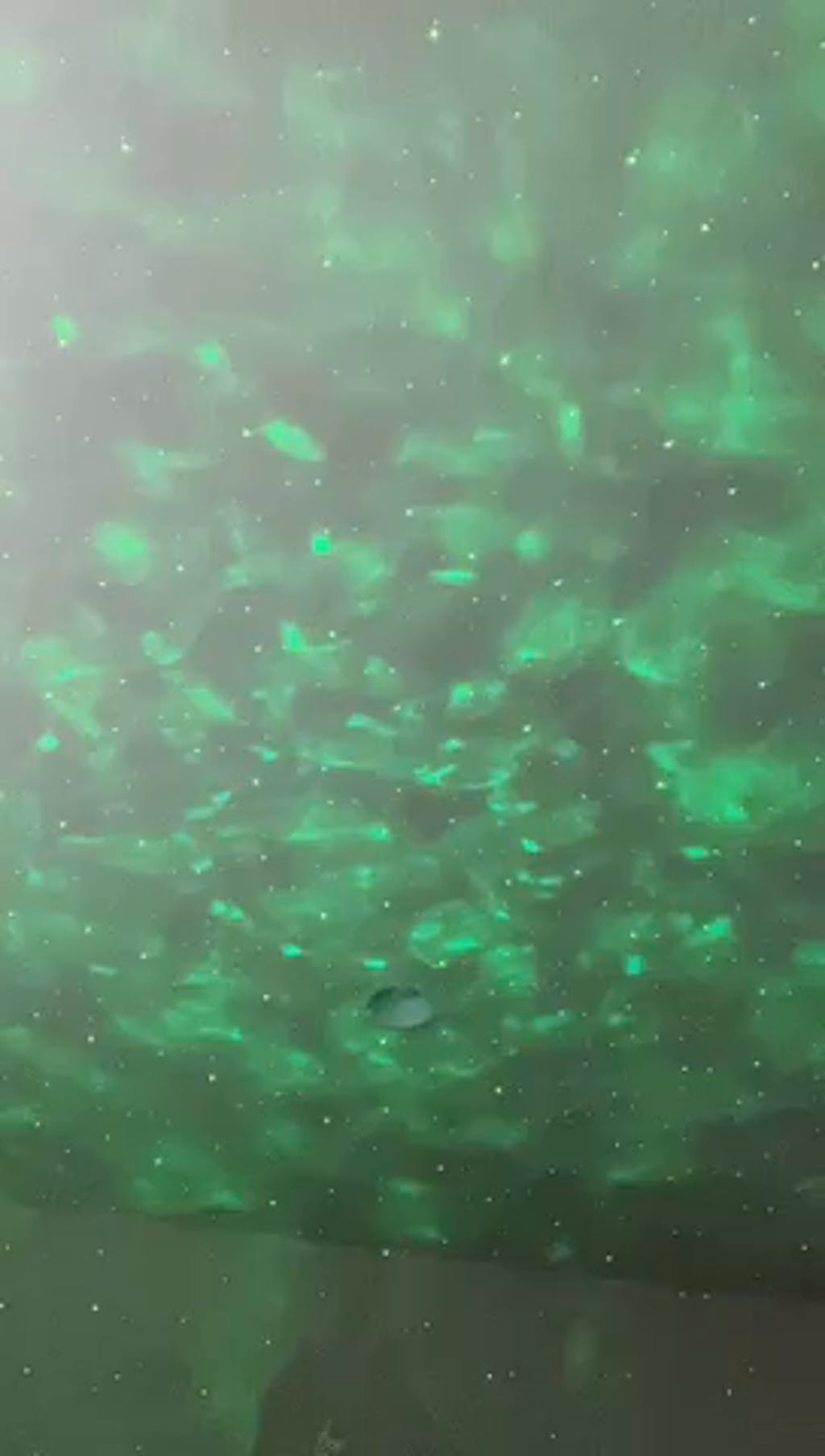 Galaxy Projector™