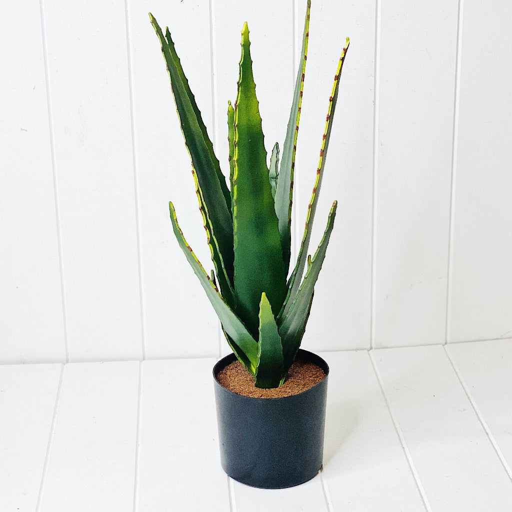 Liven up your indoor spaces with our Artificial Aloe Vera In Black Pot. Set within a round plastic pot finished in black, perfect for a display or adding a splash of green to a bathroom or bedroom, without the hassle of maintenance. 47cm tall. | Bliss Gifts &amp; Homewares | Unit 8, 259 Princes Hwy Ulladulla | South Coast NSW | Online Retail Gift &amp; Homeware Shopping | 0427795959, 44541523