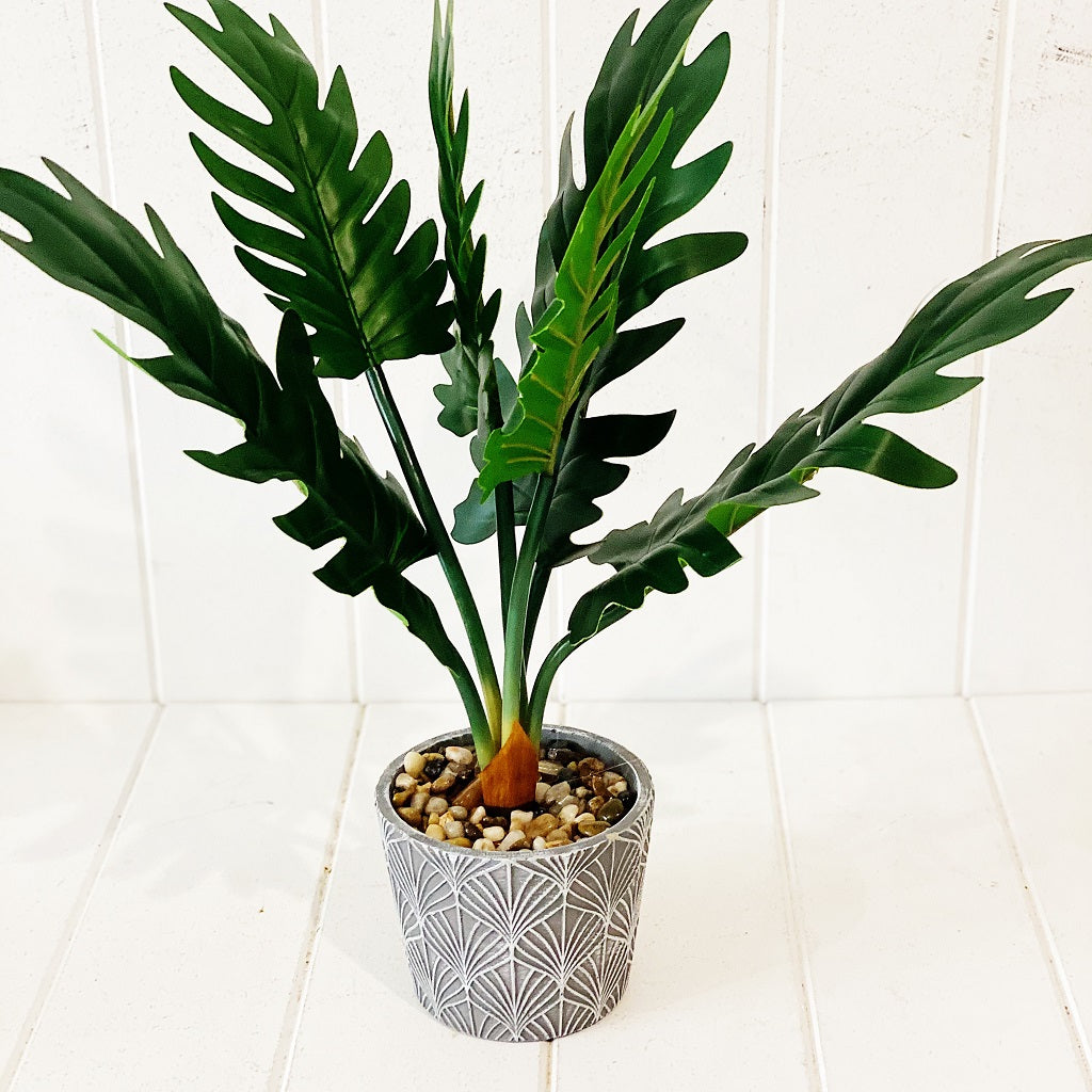 Liven up your indoor spaces with our Artificial Assorted Ferns in Grey Decorative Pot. Perfect for a windowsill display or adding a splash of green to a bathroom or bedroom, without the hassle of maintenance.| Bliss Gifts &amp; Homewares | Unit 8, 259 Princes Hwy Ulladulla | South Coast NSW | Online Retail Gift &amp; Homeware Shopping | 0427795959, 44541523