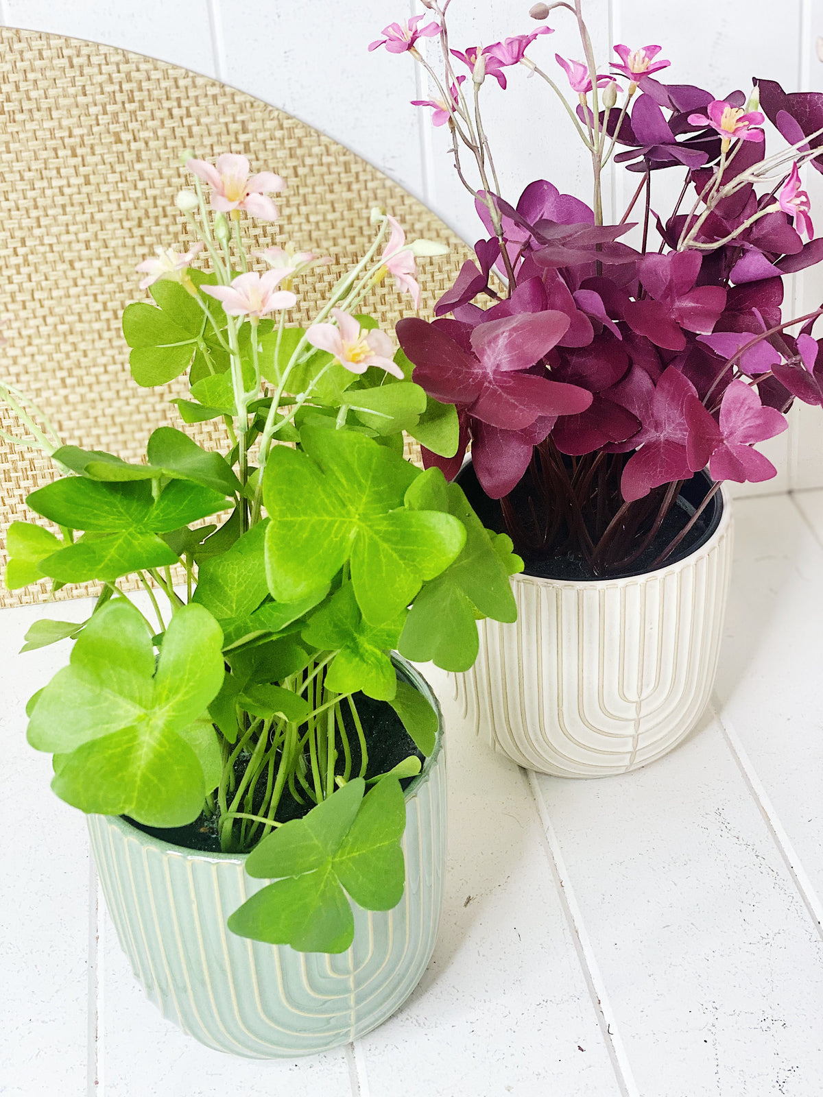 Our potted Artificial Clover in Pot is perfect for adding some colour to your shelves, or hard to grow places. Available in two styles. 35cm.| Bliss Gifts &amp; Homewares | Unit 8, 259 Princes Hwy Ulladulla | South Coast NSW | Online Retail Gift &amp; Homeware Shopping | 0427795959, 44541523