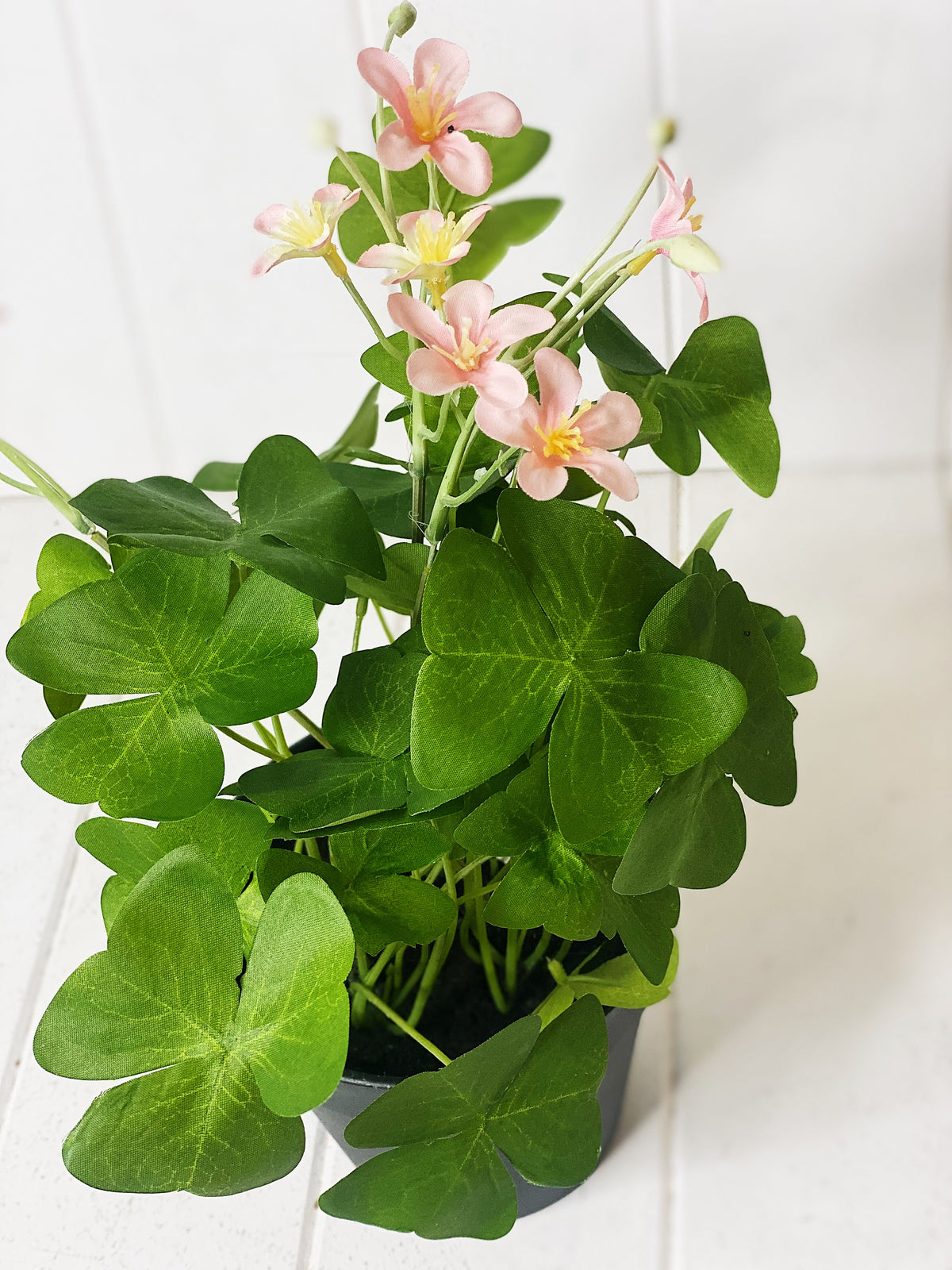 Our potted Artificial Clover in Pot is perfect for adding some colour to your shelves, or hard to grow places. Available in two styles. 35cm.| Bliss Gifts &amp; Homewares | Unit 8, 259 Princes Hwy Ulladulla | South Coast NSW | Online Retail Gift &amp; Homeware Shopping | 0427795959, 44541523