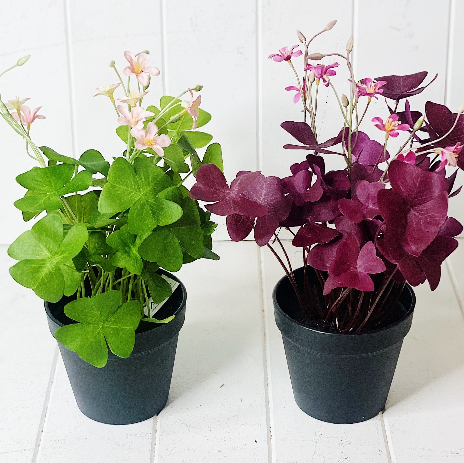 Artificial Four-Leaf Clover Potted Simulation Plants
