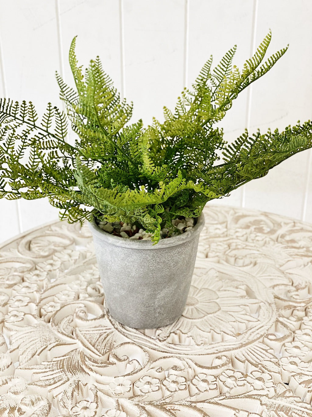 Liven up your indoor spaces with our Artificial Fern in Cement Pot. With its cement pot, it will add texture and colour to any room. Great for adding a splash of colour to a bathroom or windowsill.| Bliss Gifts &amp; Homewares | Unit 8, 259 Princes Hwy Ulladulla | South Coast NSW | Online Retail Gift &amp; Homeware Shopping | 0427795959, 44541523