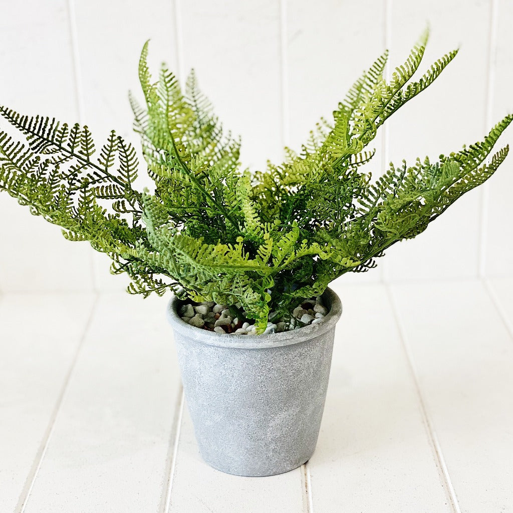 Liven up your indoor spaces with our Artificial Fern in Cement Pot. With its cement pot, it will add texture and colour to any room. Great for adding a splash of colour to a bathroom or windowsill.| Bliss Gifts &amp; Homewares | Unit 8, 259 Princes Hwy Ulladulla | South Coast NSW | Online Retail Gift &amp; Homeware Shopping | 0427795959, 44541523