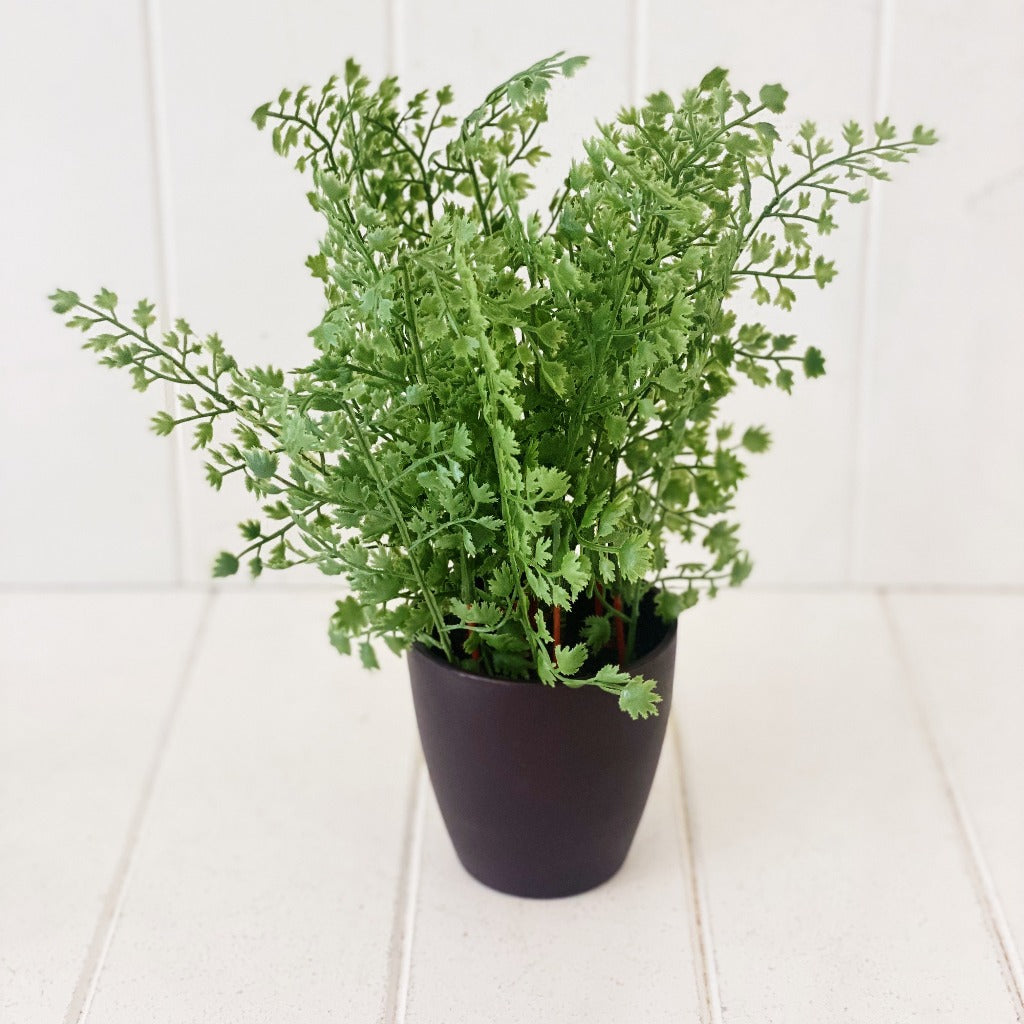 Create a feature and liven up a dark space in your home with our Decorative Potted Greenery. These beautiful textured plants come in three varieties and will instantly lift your displays. 21cm.| Bliss Gifts & Homewares | Unit 8, 259 Princes Hwy Ulladulla | South Coast NSW | Online Retail Gift & Homeware Shopping | 0427795959, 44541523