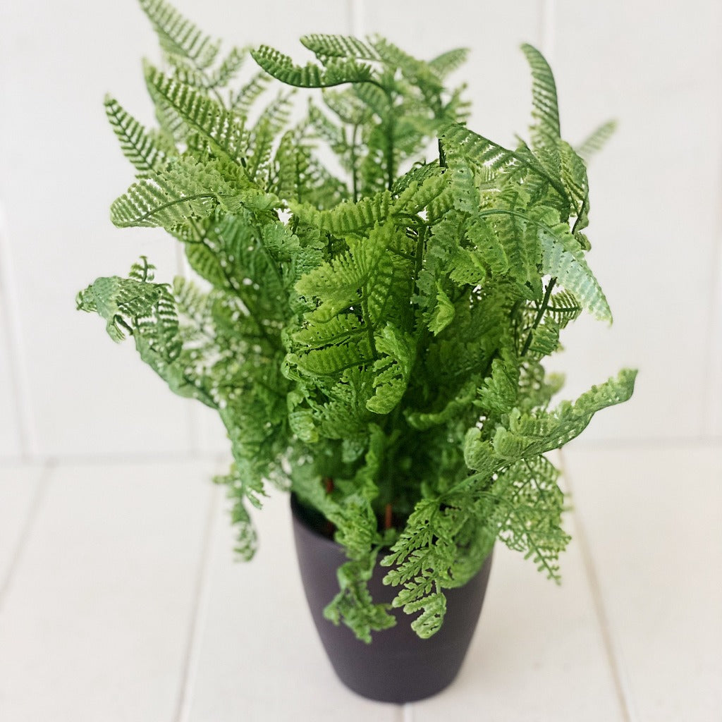 Artificial ferns on sale