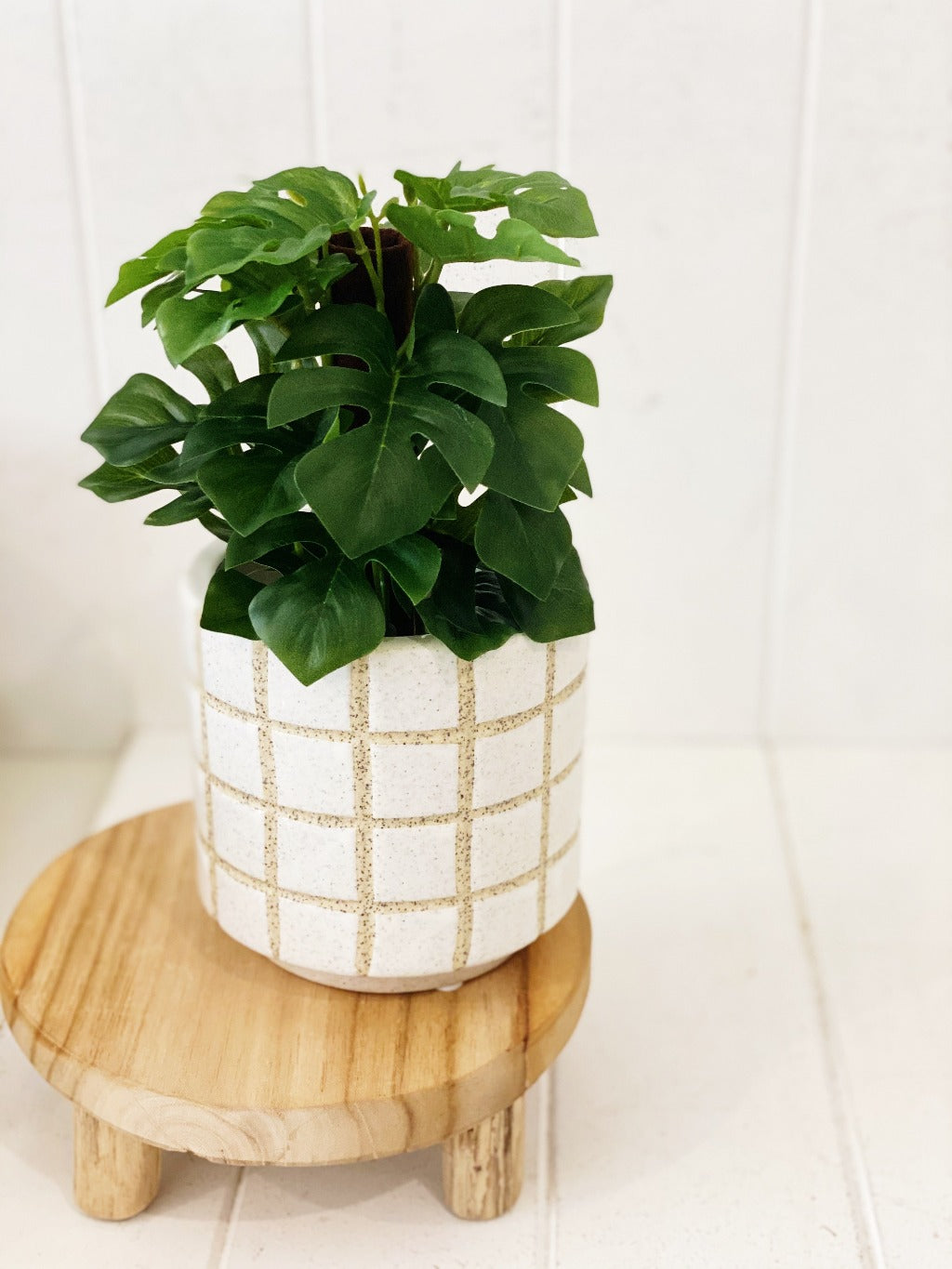 Liven up your indoor spaces with our Artificial Monstera &amp; Philodendron in cement look Pot. Perfect for a windowsill display or adding a splash of green to a bathroom or bedroom, without the hassle of maintenance. Approx: 25cm.| Bliss Gifts &amp; Homewares | Unit 8, 259 Princes Hwy Ulladulla | South Coast NSW | Online Retail Gift &amp; Homeware Shopping | 0427795959, 44541523